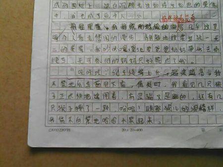 一张废纸作文750字