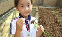 【开心作文 熊钰琪】有趣的贴鼻子游戏