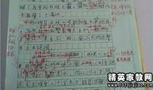 我在花季中考作文