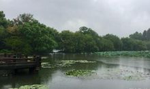 初二作文：忆游西湖