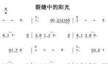 原创学生作文：裂缝里的阳光