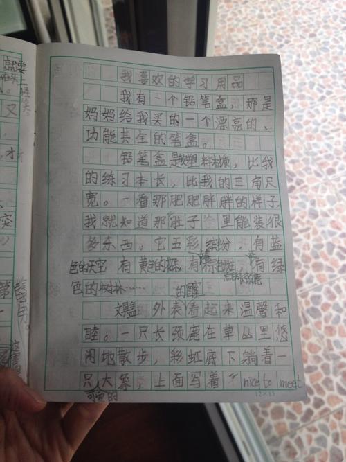 文具盒丢失记学生作文