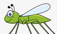 三年级作文：可爱的蚂蚱