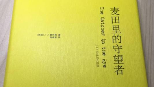 《麦田里的守望者》读后感500字