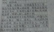 爬一座山 登山随笔作文800字