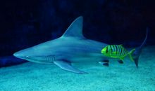 高考作文辅导2：正视缺陷，才能取得成功