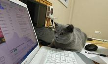 高考语文，写好读后感（观后感），要注意哪些问题？