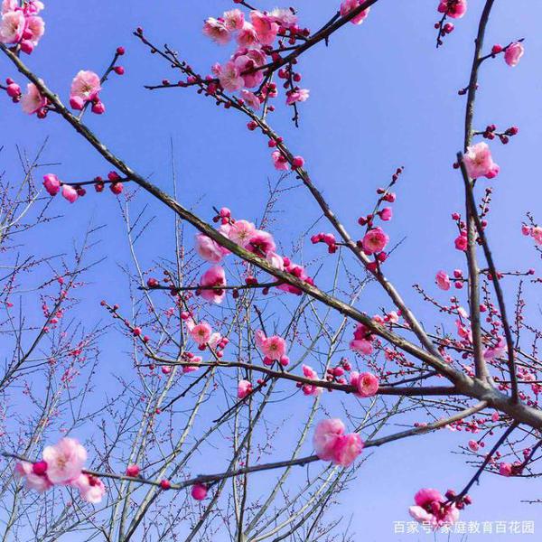 高考作文辅导1：我从成功和奋斗中感受幸福