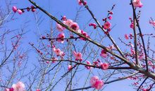 高考作文辅导1：我从成功和奋斗中感受幸福