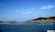 游南麂列岛作文350字