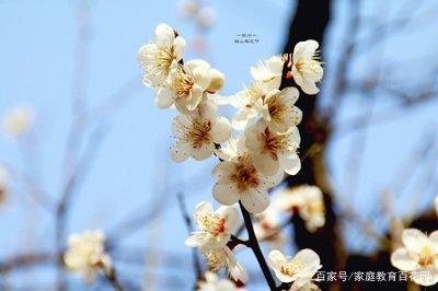 高考作文辅导1：我从成功和奋斗中感受幸福 1