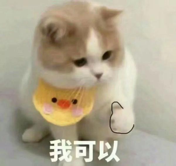 这次英语作文，说不定我能拿分数。 6