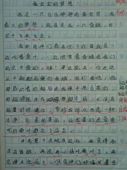 古怪的“小茶” 写动物小狗的作文500字