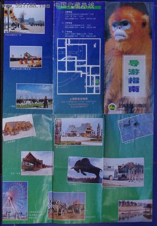 游上海野生动物园 游动物园作文500字
