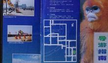 游上海野生动物园 游动物园作文500字