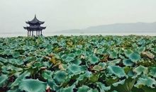 人间天堂――杭州西湖 游西湖作文500字