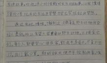 一个三年级同学写的作文《特殊的春节》，读到最后一句泪目了