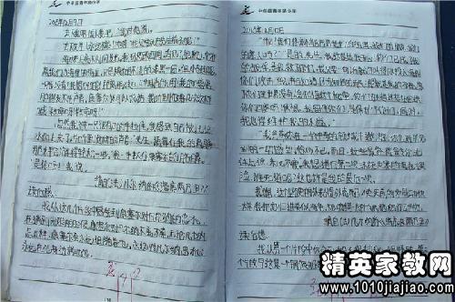 初中昆虫记读书笔记800字