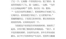 我发现了什么作文400字(精选)