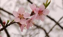 作文辅导4：传承手写汉字