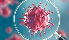 武汉新型肺炎议论文1000字