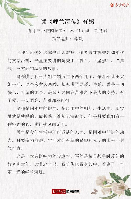 读《呼兰河传》有感 读书籍后感600字