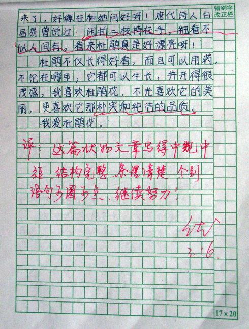 四年级作文我喜欢的花