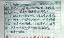 四年级作文我喜欢的花