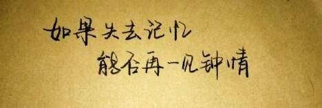 奋斗进行曲_400字