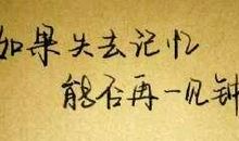 奋斗进行曲_400字
