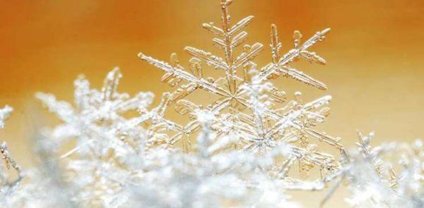 中考满分作文：为了心中的雪花 1
