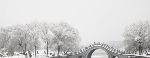 中考满分作文：为了心中的雪花 2