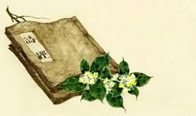 平淡中也有诗_800字