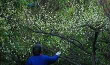 学生作文｜“保护”就在身边