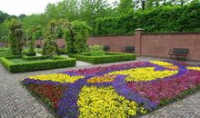 有关于校园的花坛的作文