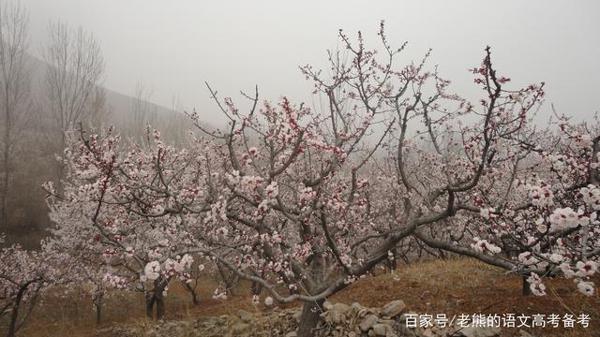 高考作文辅导8:找准自己的位置