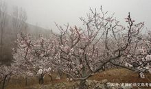 高考作文辅导8：找准自己的位置