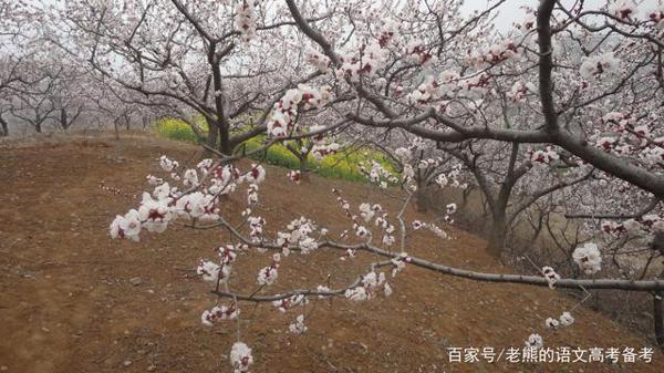 高考作文辅导8:找准自己的位置 1