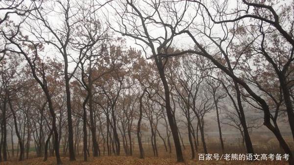 高考作文辅导8:找准自己的位置 2