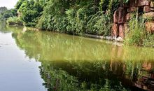 三年级作文入门：修改作文，为什么改