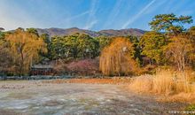 这是什么神仙句子！让作文提升一个档次，抄下来反复阅读吧