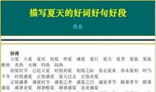 好段好句素材：有关夏天清晨的优美段落_2000字