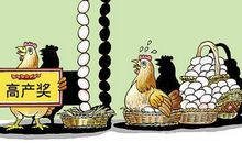 高考作文辅导5：宁可脚踏实地，不要投机取巧