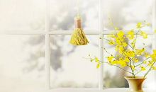 改变人生 改变自己作文500字