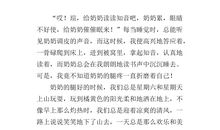 我爱我的爷爷作文500字