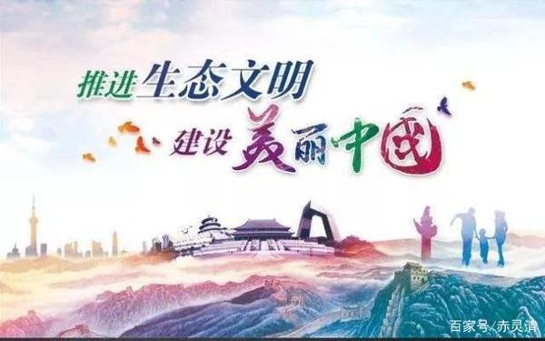 重点高中高一期末考试优秀作文选登《大眼看世界,小心护环境》