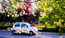 高考作文素材（人物篇2）：席慕蓉