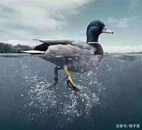 身为语文老师的我,又看到学生写这种作文,忍不住…… 5