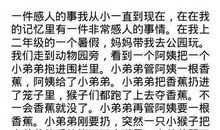 感人的一幕作文五篇