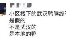 “爸爸的眼神”，8岁女儿写给一线抗疫父亲的作文，网友：真懂事